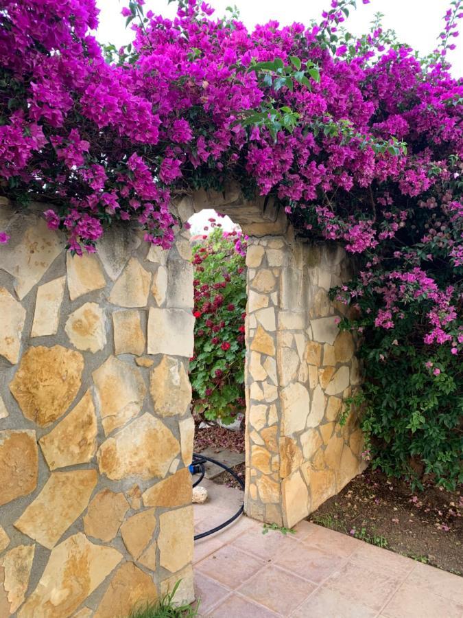 Villa Sunlight Sardegna Capitana Εξωτερικό φωτογραφία