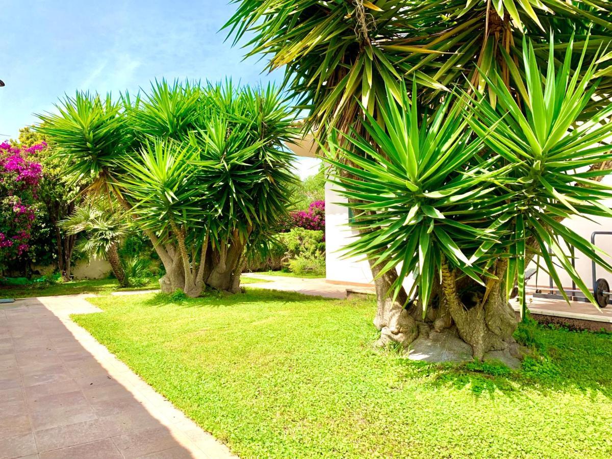 Villa Sunlight Sardegna Capitana Εξωτερικό φωτογραφία